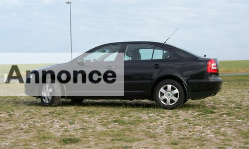 skodaoctavia4