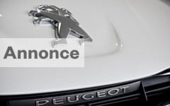 peugeot bilsalg 2011