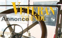 veterantidendesmall
